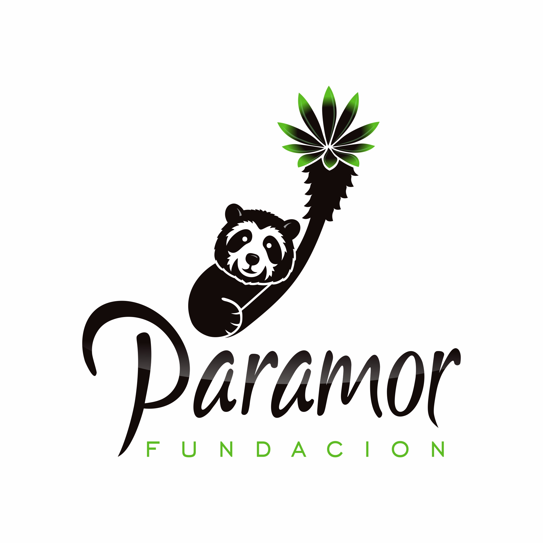 logo fundacion paramor
